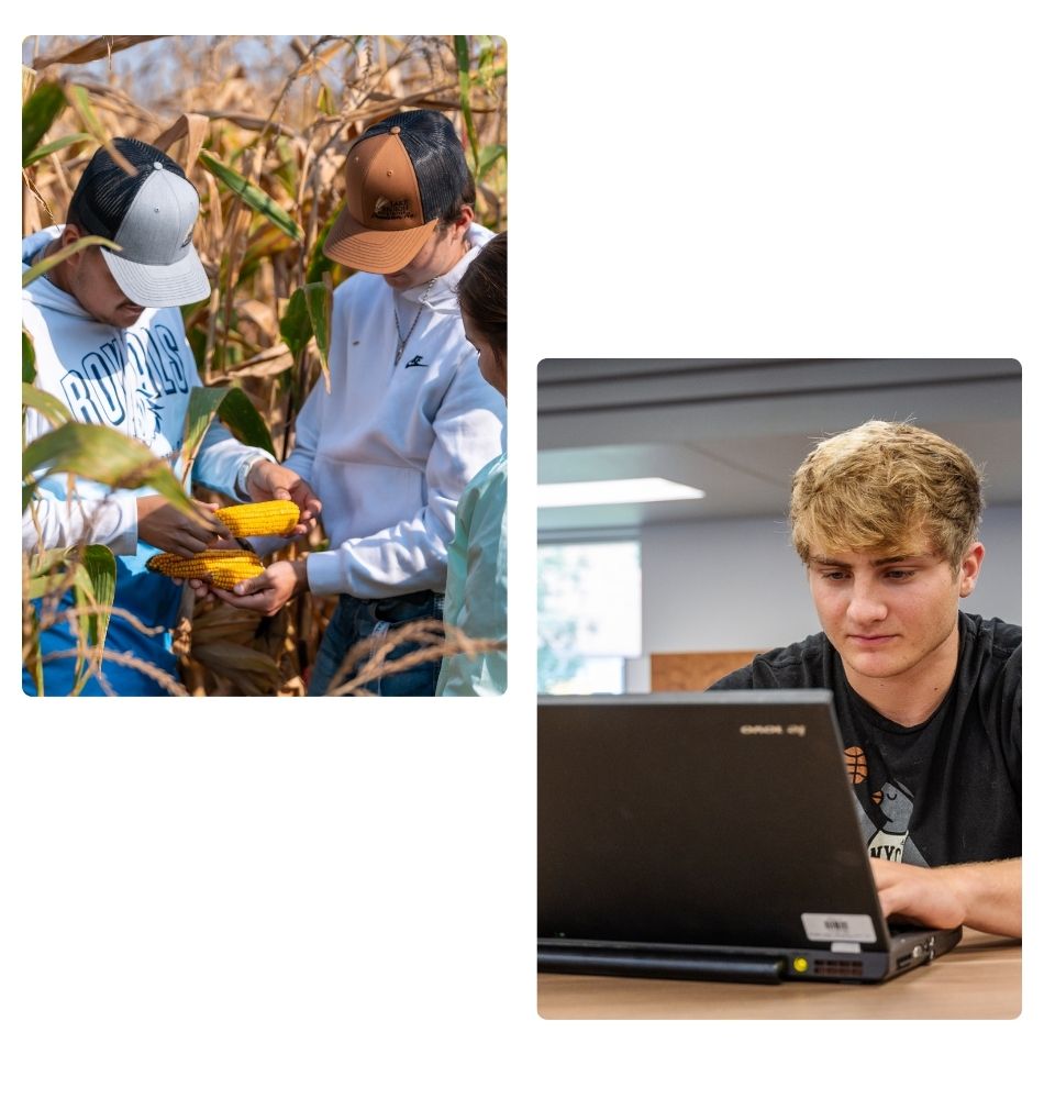 Images of students working in a field and a Lake Region State College student using a computer.