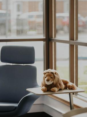 Lion mascot stuffed animal on a table.