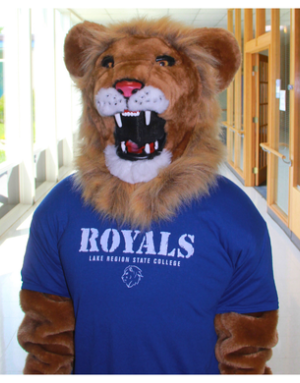 Lion in Royals Shirt blue in front of window