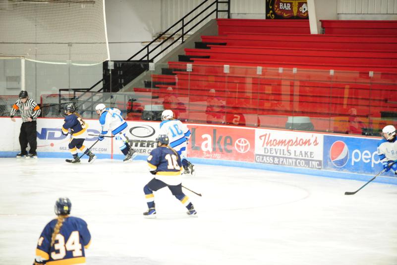 LRSC women's hockey heading into opponent territory